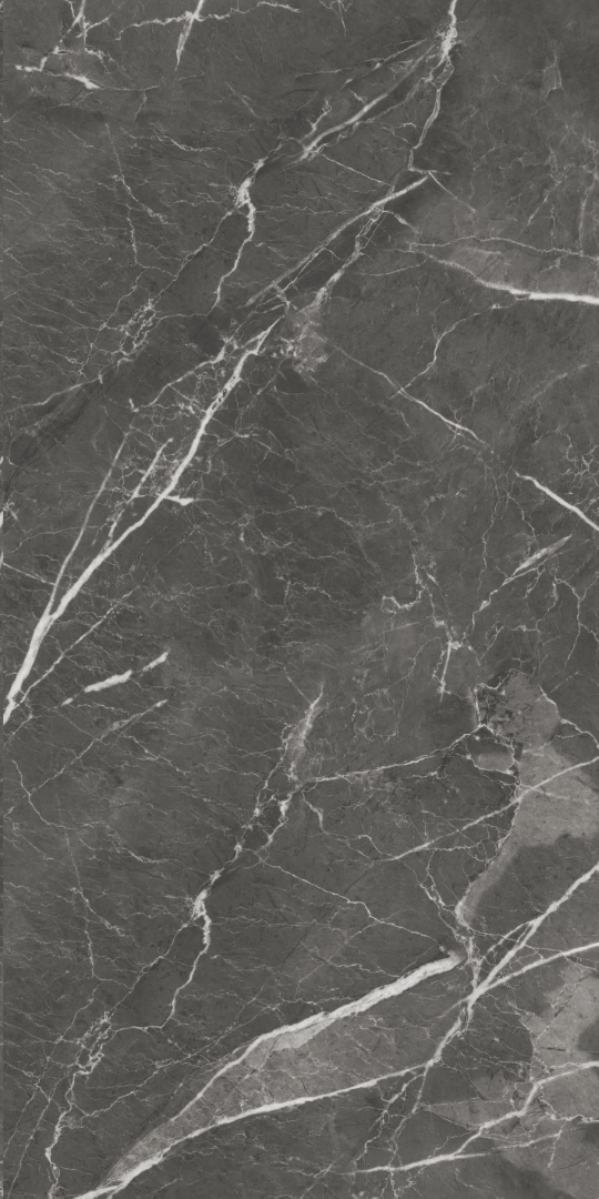 GT1206019809MHRR На пол Oscar Темно-серый матовый 60x120 - фото 4