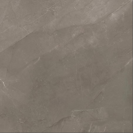 C225801071 На пол Soul Stone Nature 59.4x59.4