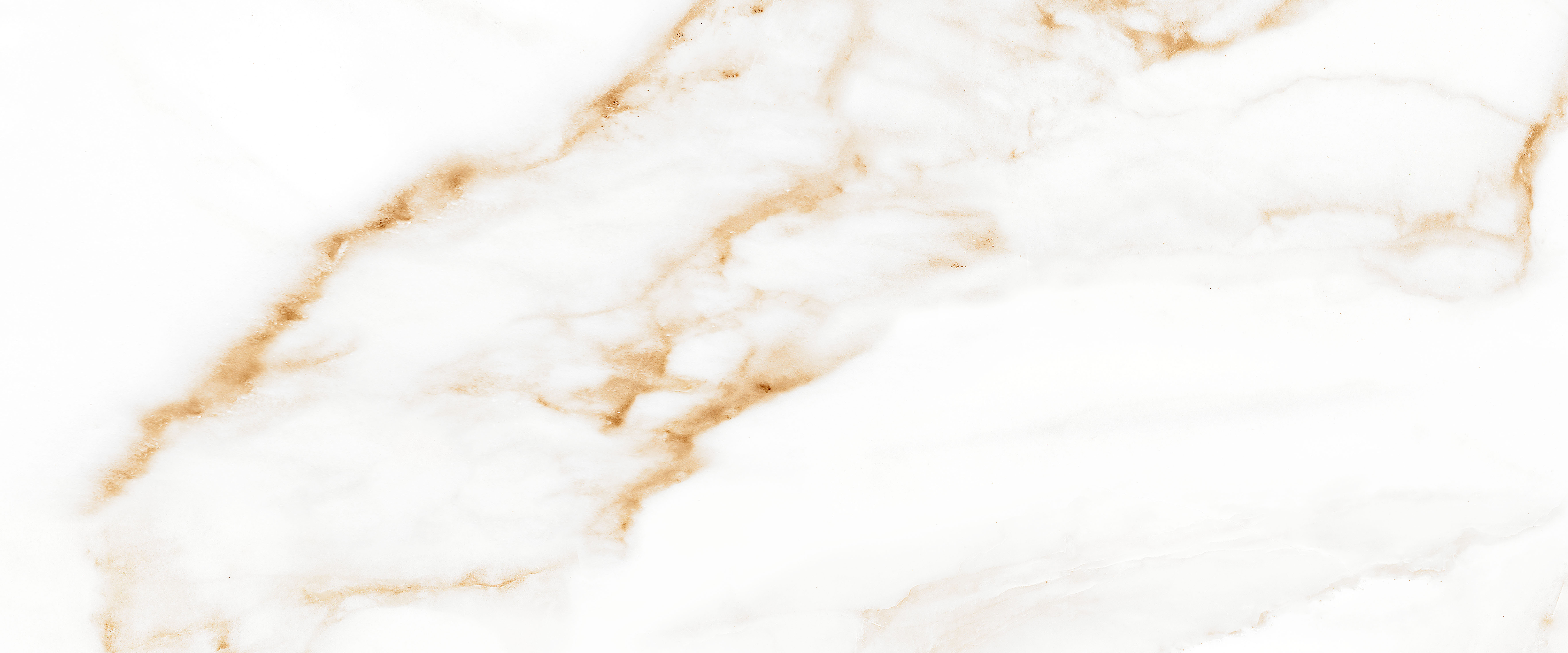 010100001521 На стену Joy White белый 01 25x60 - фото 8