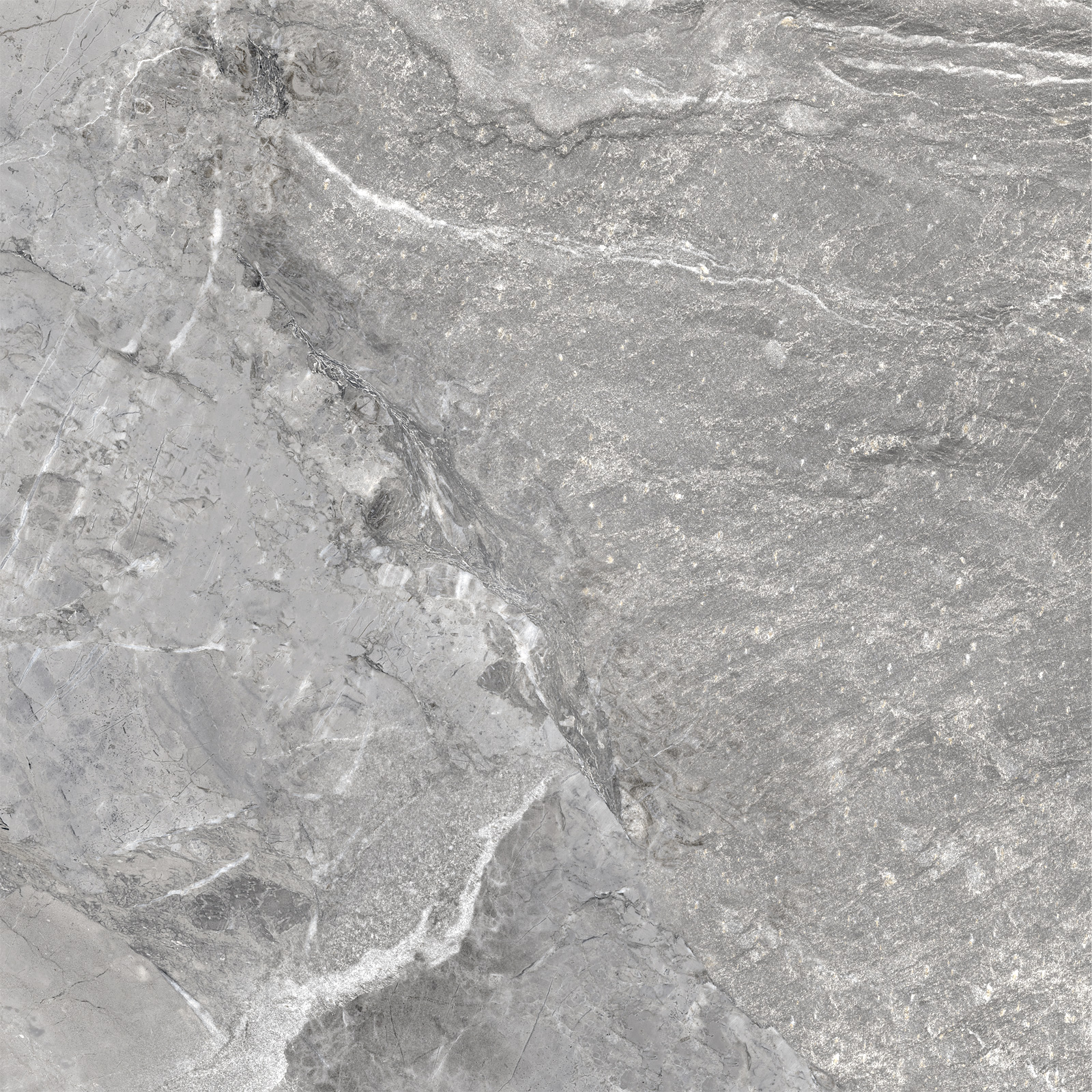 D60260M На пол Wild Dark матовый 600x600x9.5 - фото 12