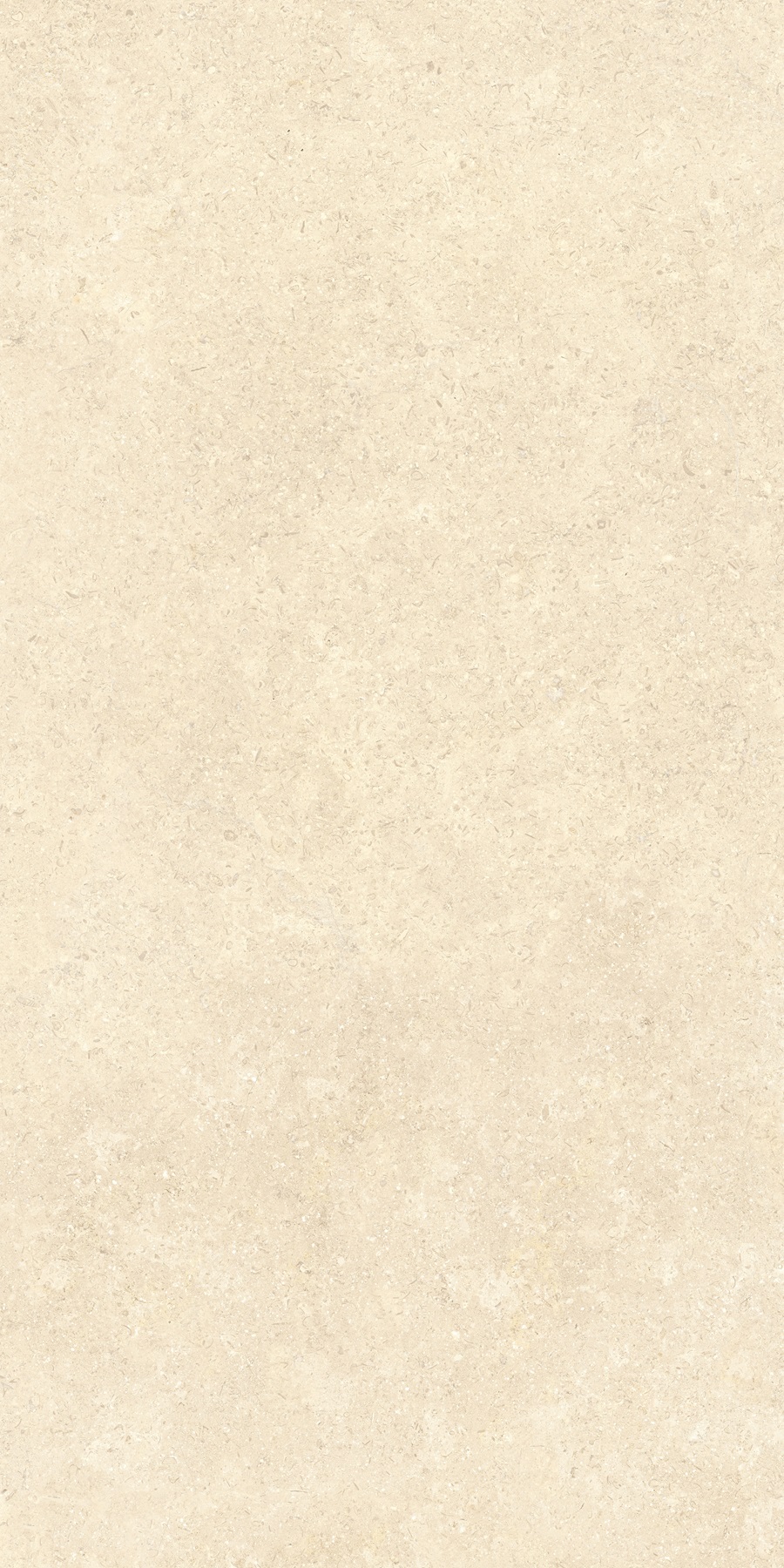 K948598R0001VTER На пол SandStone Песочный Матовый R10A Ректификат 60х120 - фото 4