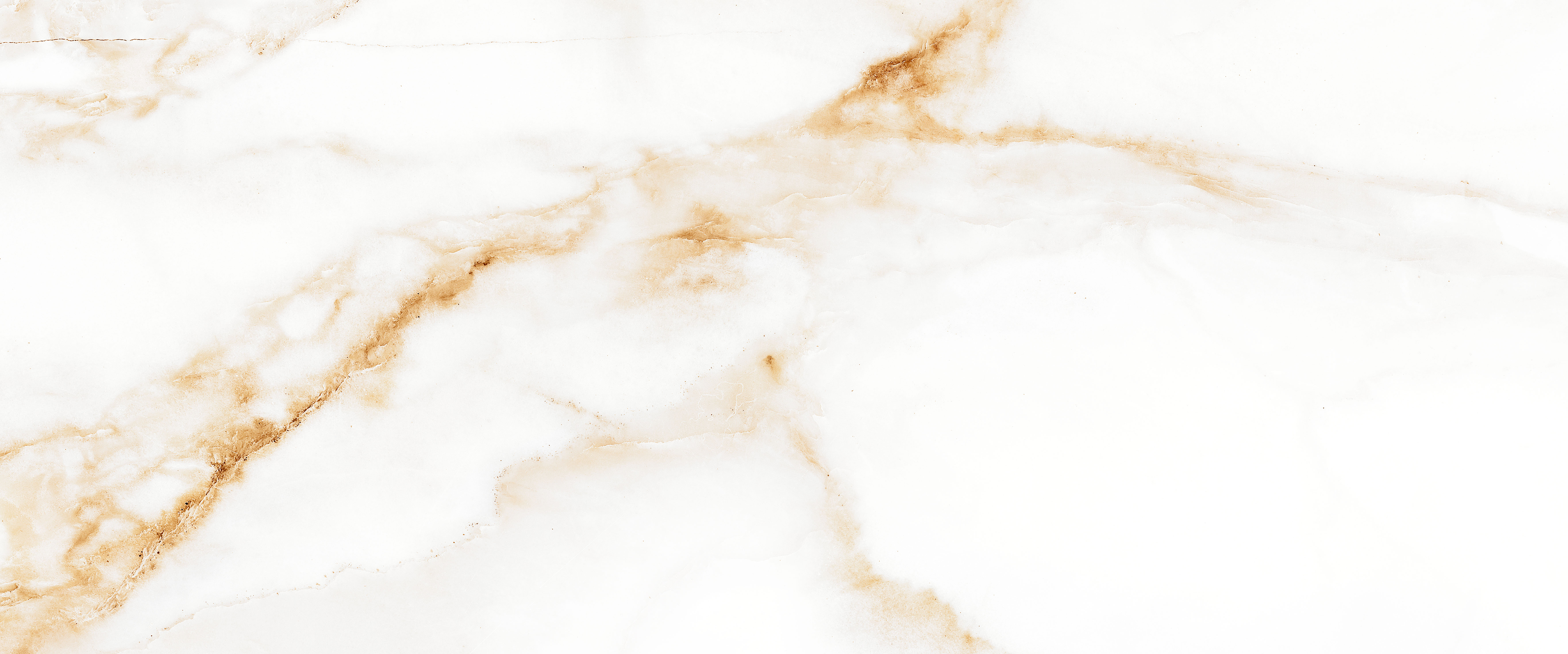 010100001521 На стену Joy White белый 01 25x60 - фото 7