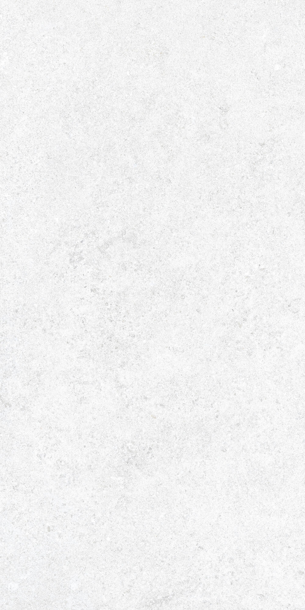 36905 На пол Cluny White 4D/50X100X2/A/R 50x100 - фото 18