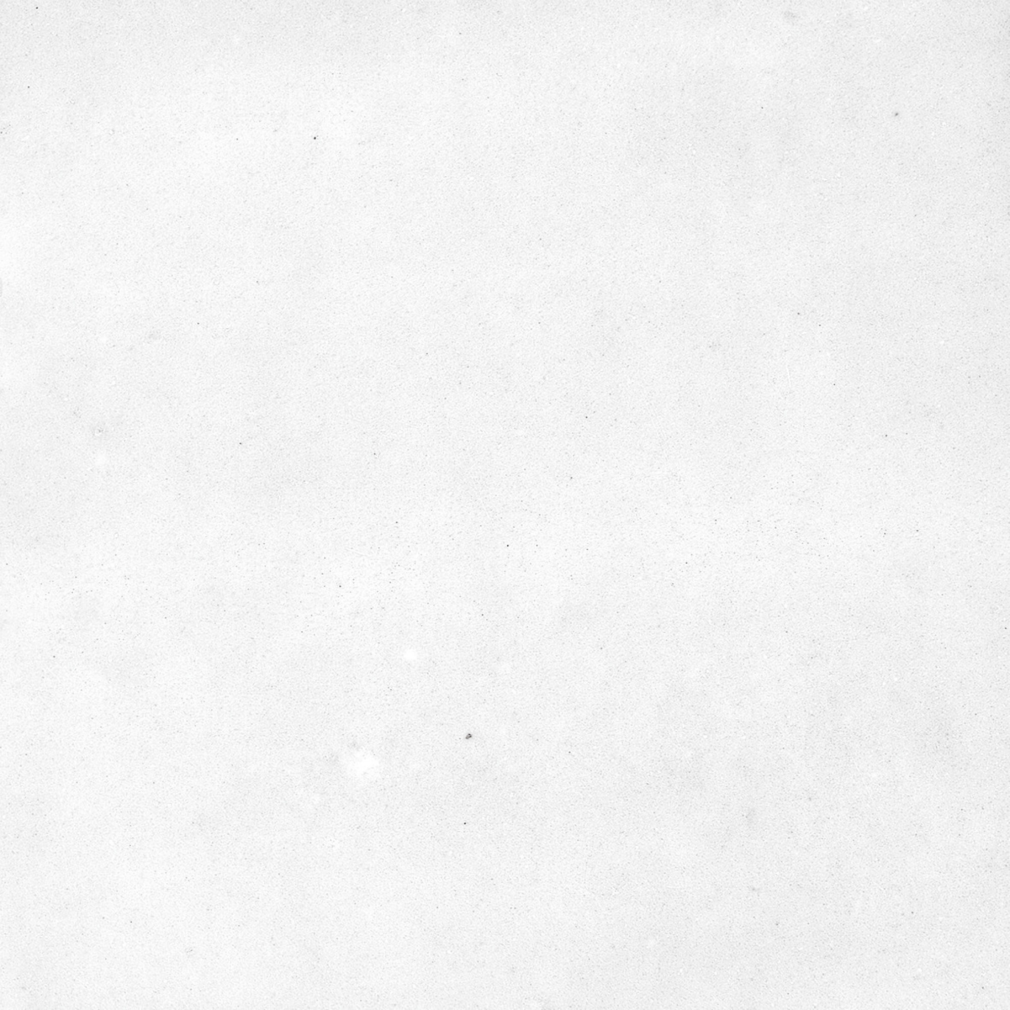 43294 На стену Samira White 10x10 - фото 32