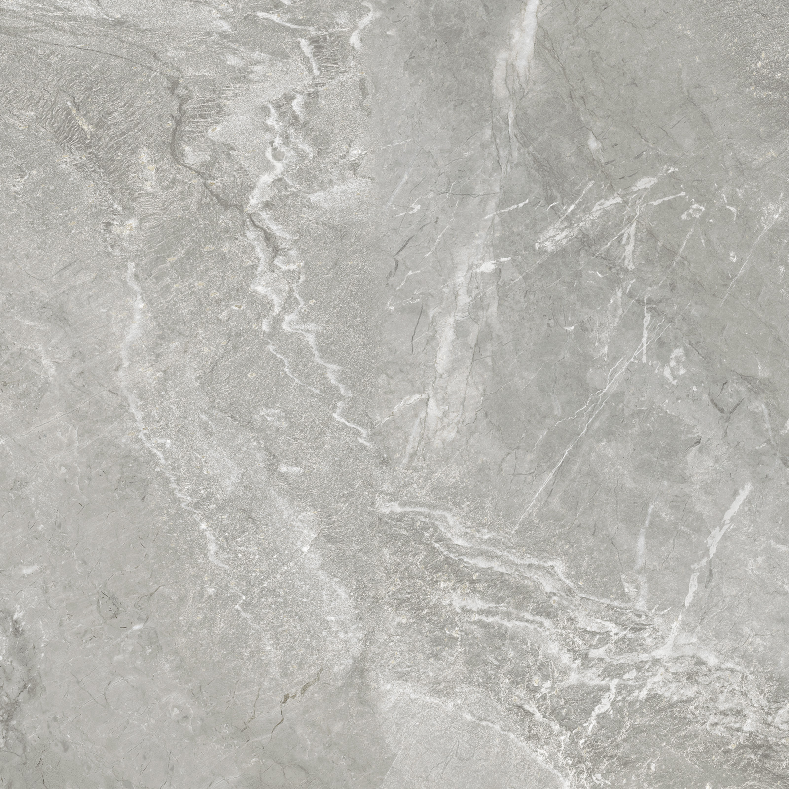 D60259M На пол Wild Light матовый 600x600x9.5 - фото 16