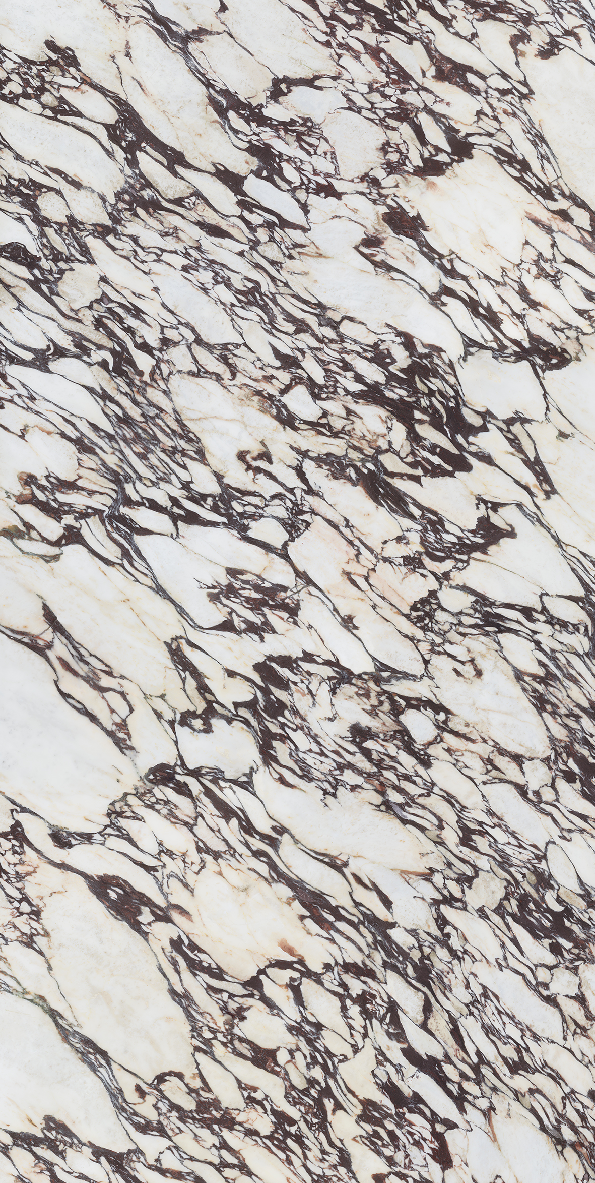 101769 На пол Marble MB22 Calacatta Viola Lev 12mm 162x324