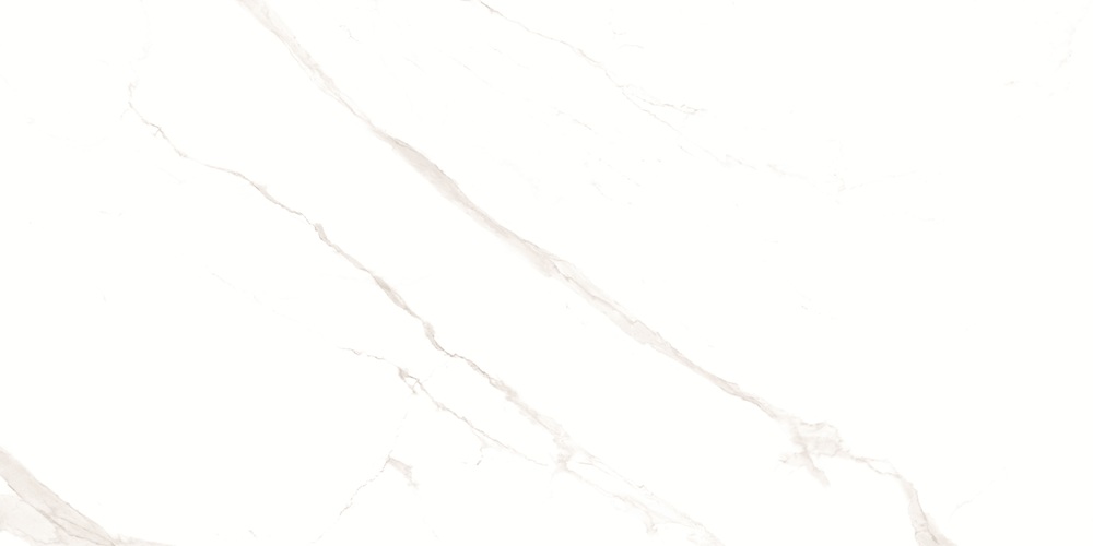 RP-238582  Pushkar White Matt 60x120