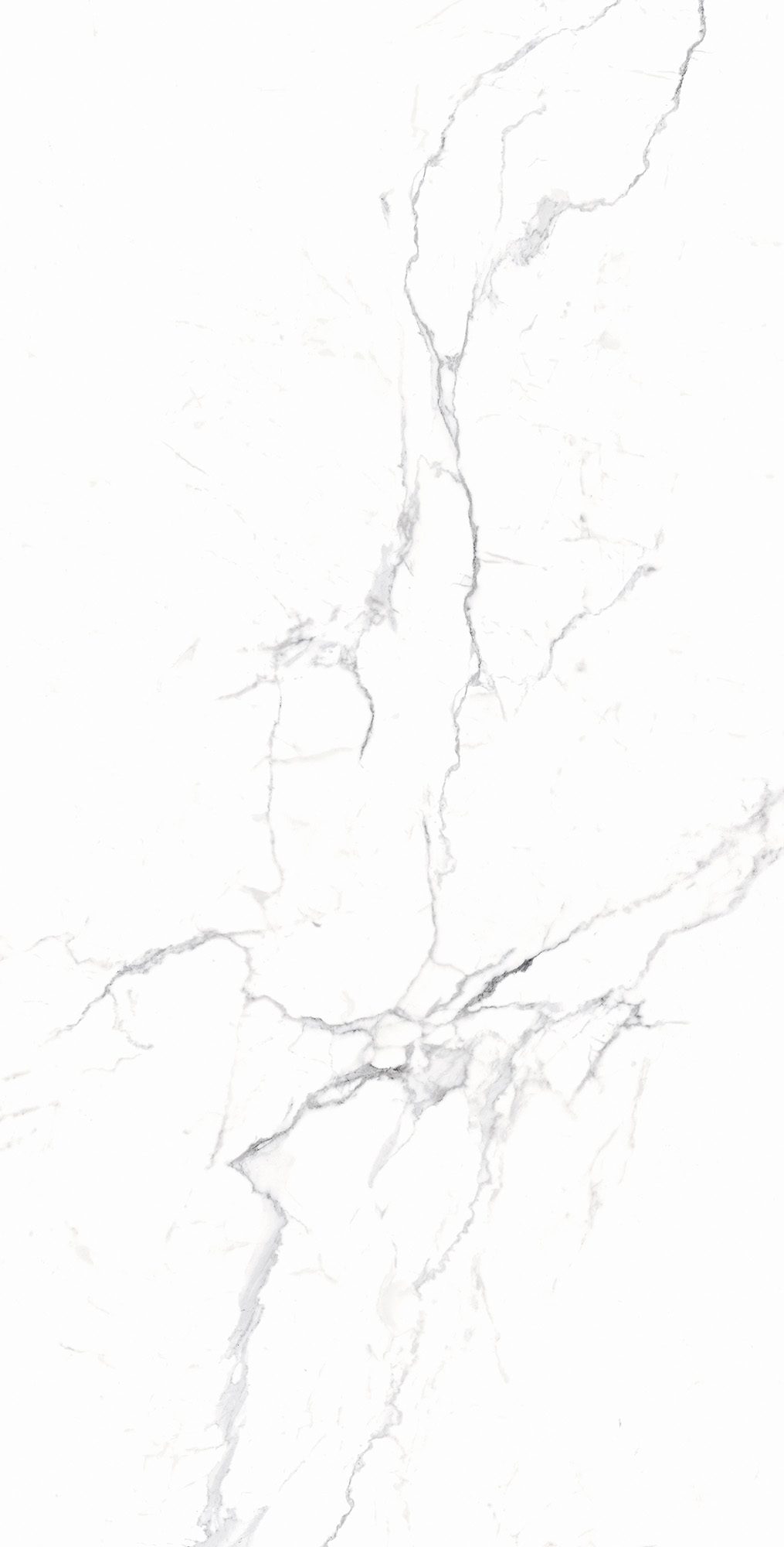 RT7018-A На пол Carrara White Matt Rustic 60x120 - фото 6