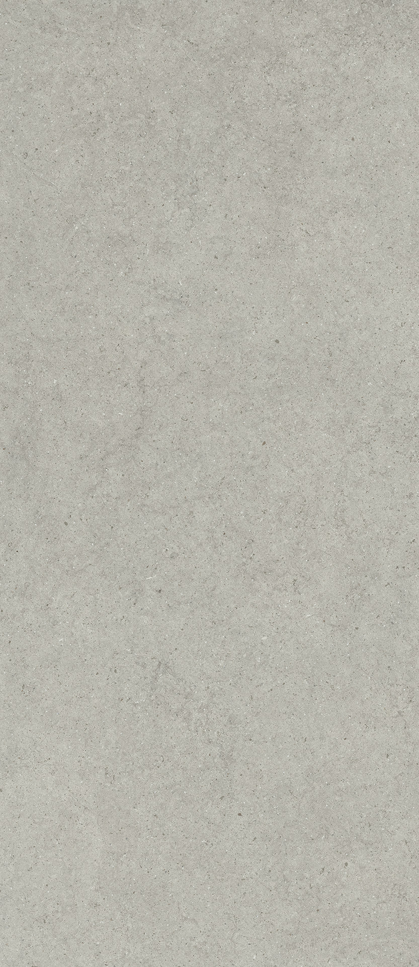 600180000082 На пол Forum Stone Silver 120x278