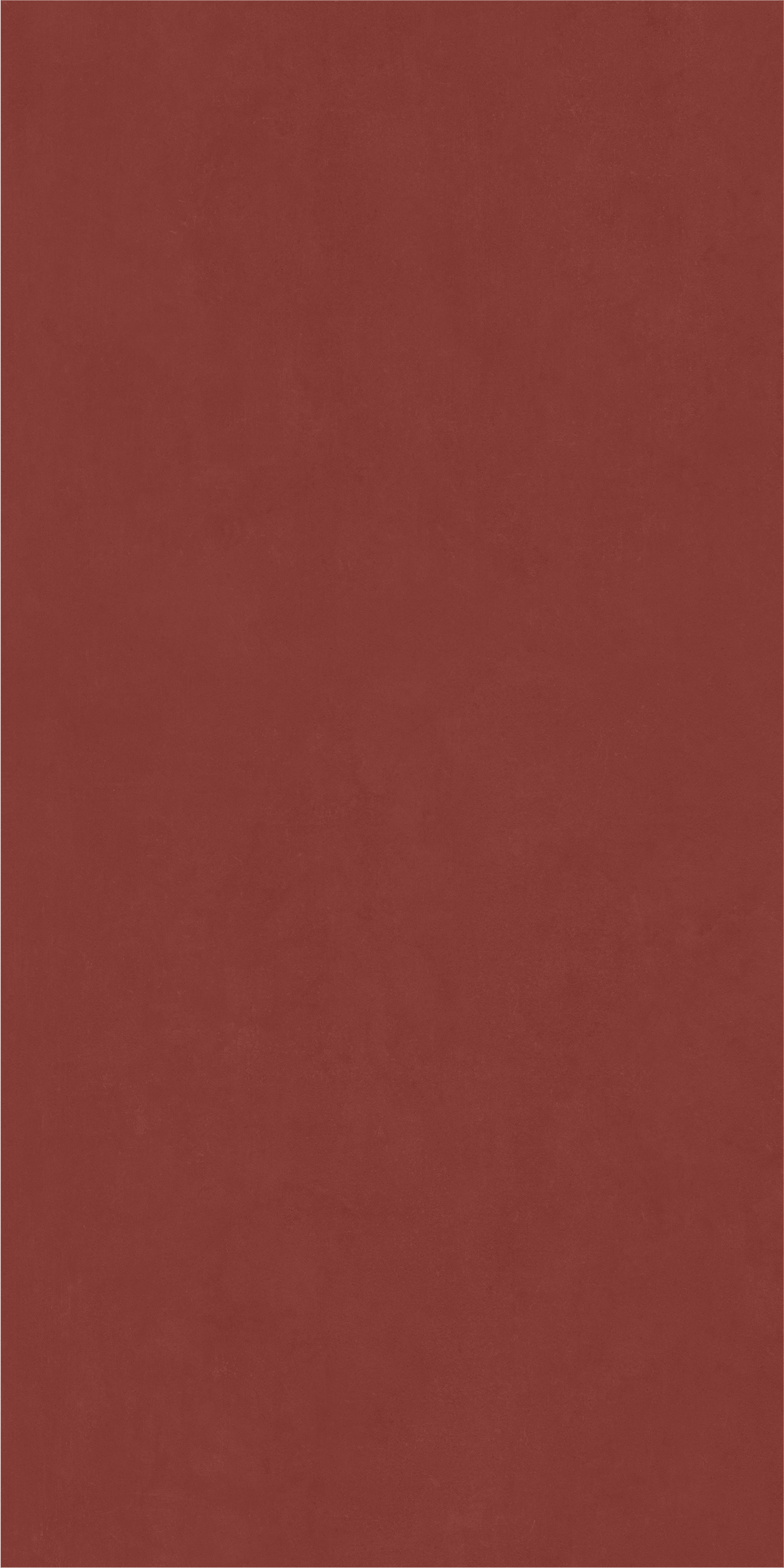 600010002374 На стену Surface Эксклюзив Рэд Нат Рет 80x160