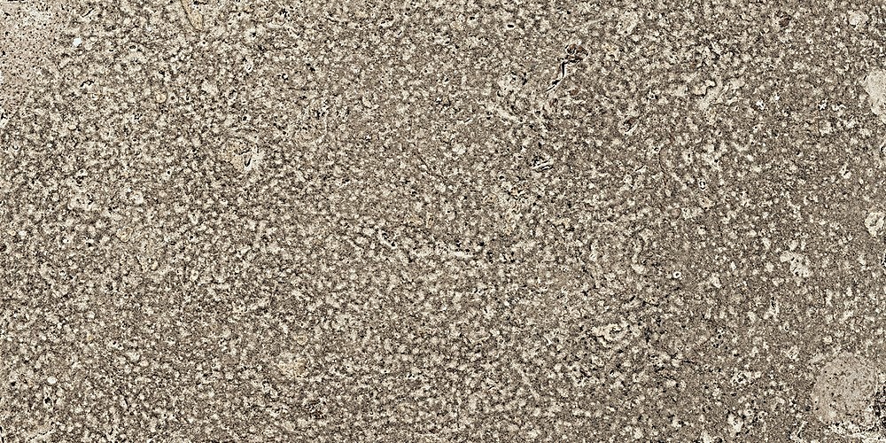 1006800 На пол Pomposa Mineral 20х40 - фото 3