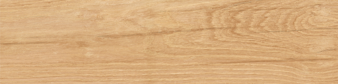 KM1040G0011N На пол Аргания Бежевый матовый 9.9x40.2x0.8 - фото 9