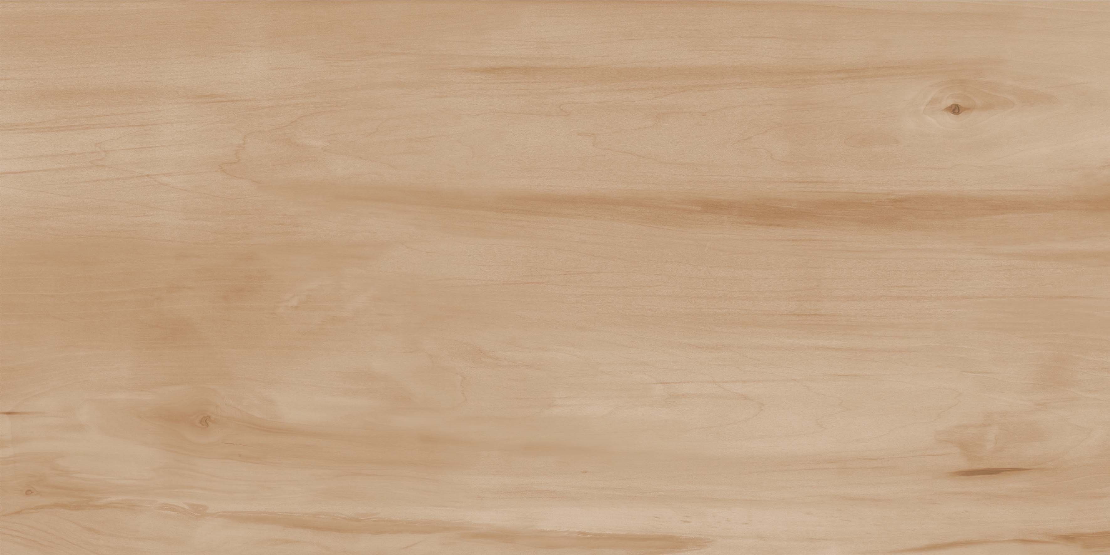 На пол Paint Wood Bone Gloss 60x120 - фото 4