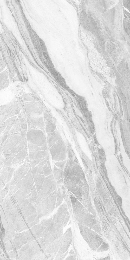 GT1206019501MDGR На пол Mumbai Серый матовый 60x120