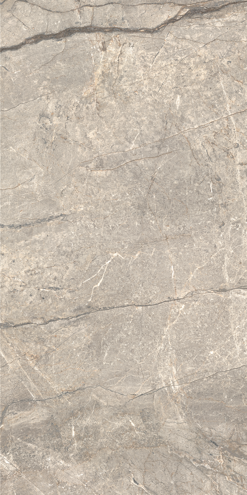 AGB2 На пол Anima Futura Silver Matt R9 60x120 - фото 8