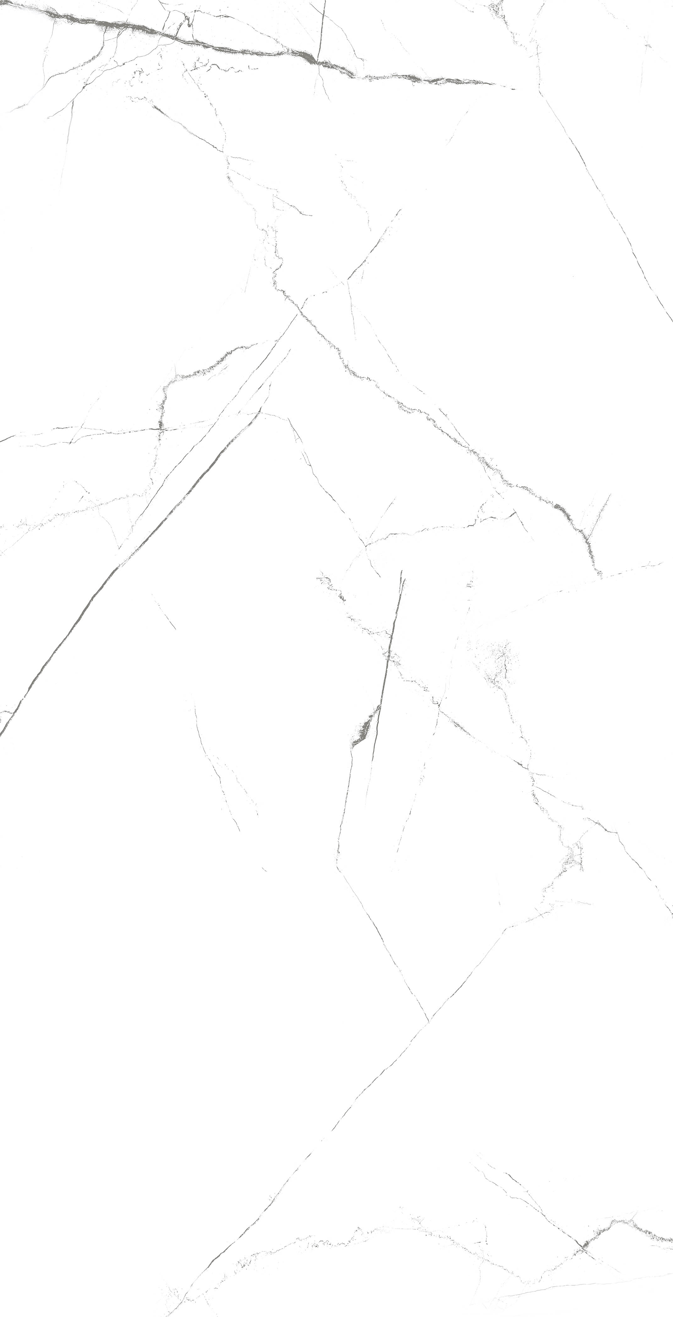 MOG101/PS_NC/60x120x9R/GW На пол Marble MOG101 White 120x60 Полированный Рект. - фото 2