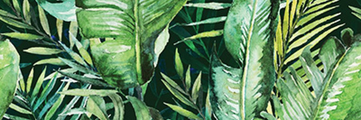 Декор Braga Tropic B Rect