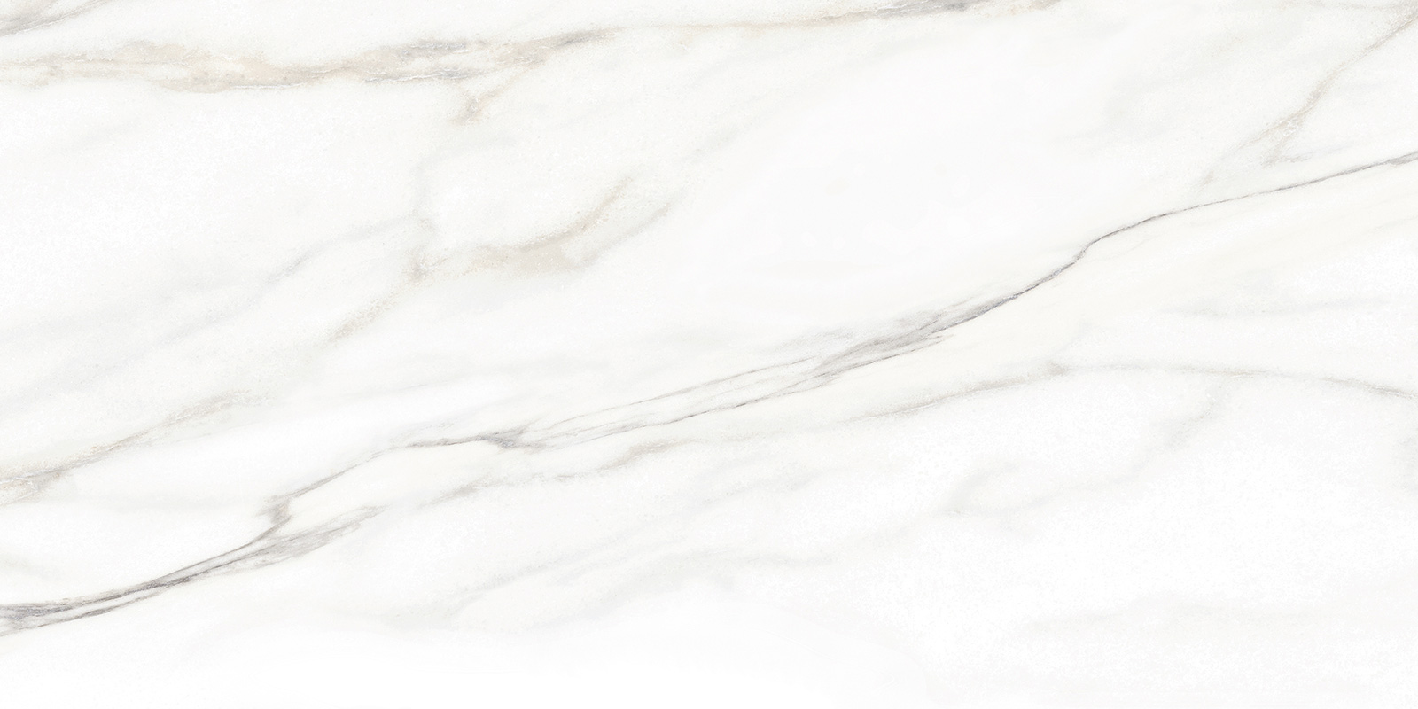 TWU2550BOH07 На стену Euphoria 04 249x500x7 - фото 2