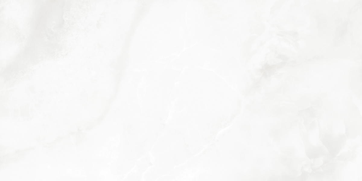 LP6012G0541R На пол Bernini Bianco белый глянцевые чернила 59.5х119.1 - фото 6