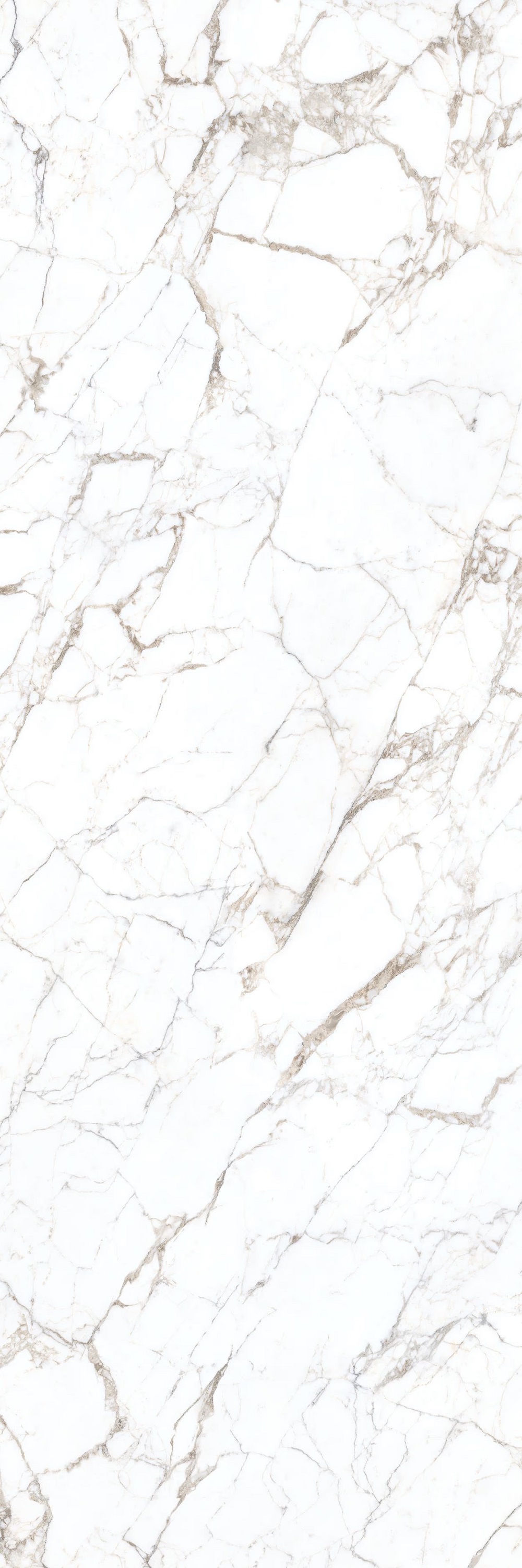 LAMFF00677_IT На пол I Naturali Marmi Calacatta Vagli Oro Lucidato 5 1000x3000