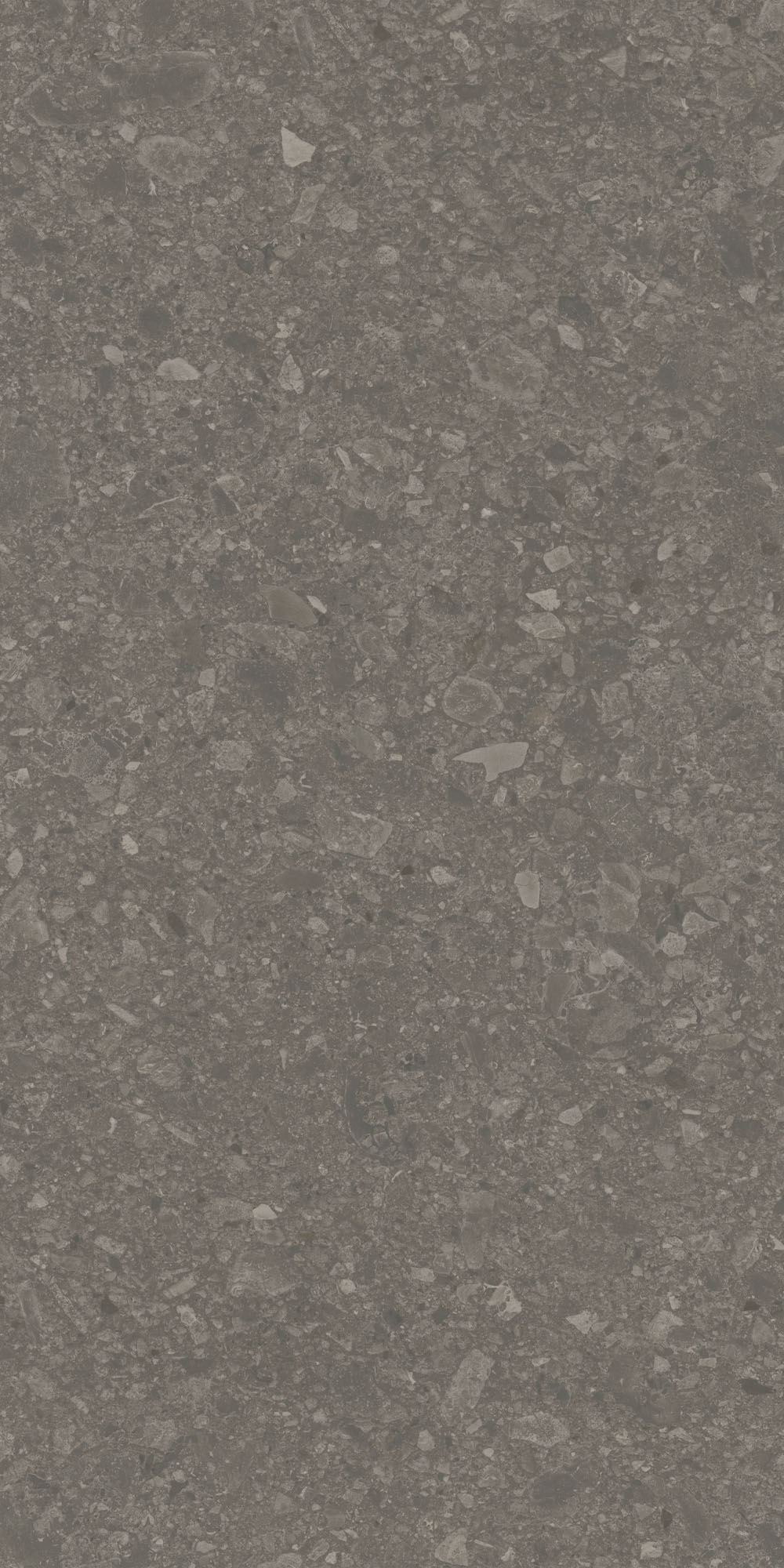 DD591720R На пол Чеппо ди Гре Коричневый матовый обрезной 119.5x238.5x0.9 - фото 3