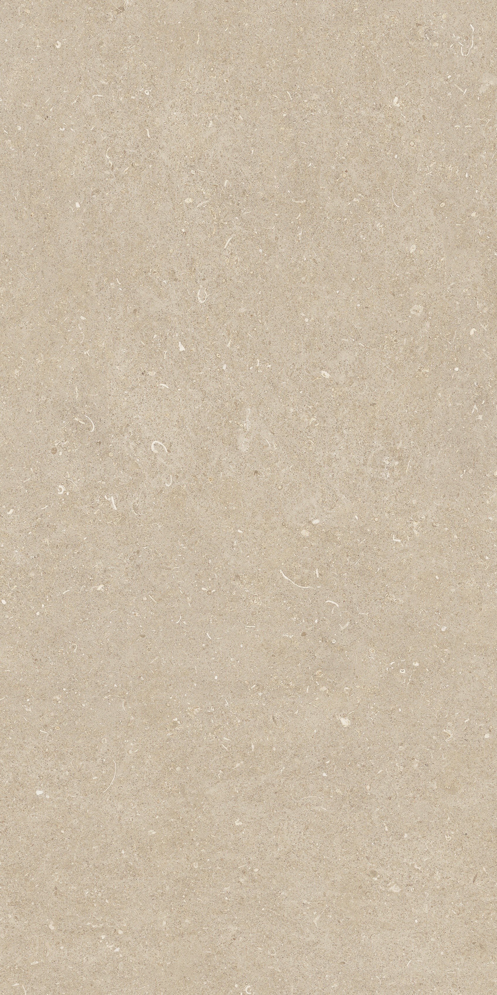 785493 На пол Rinascenza Arena Conchiglia Grip 60x120 - фото 4