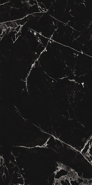 PT12S982 На пол Marble Noir Pol 1200х600х9 - фото 2