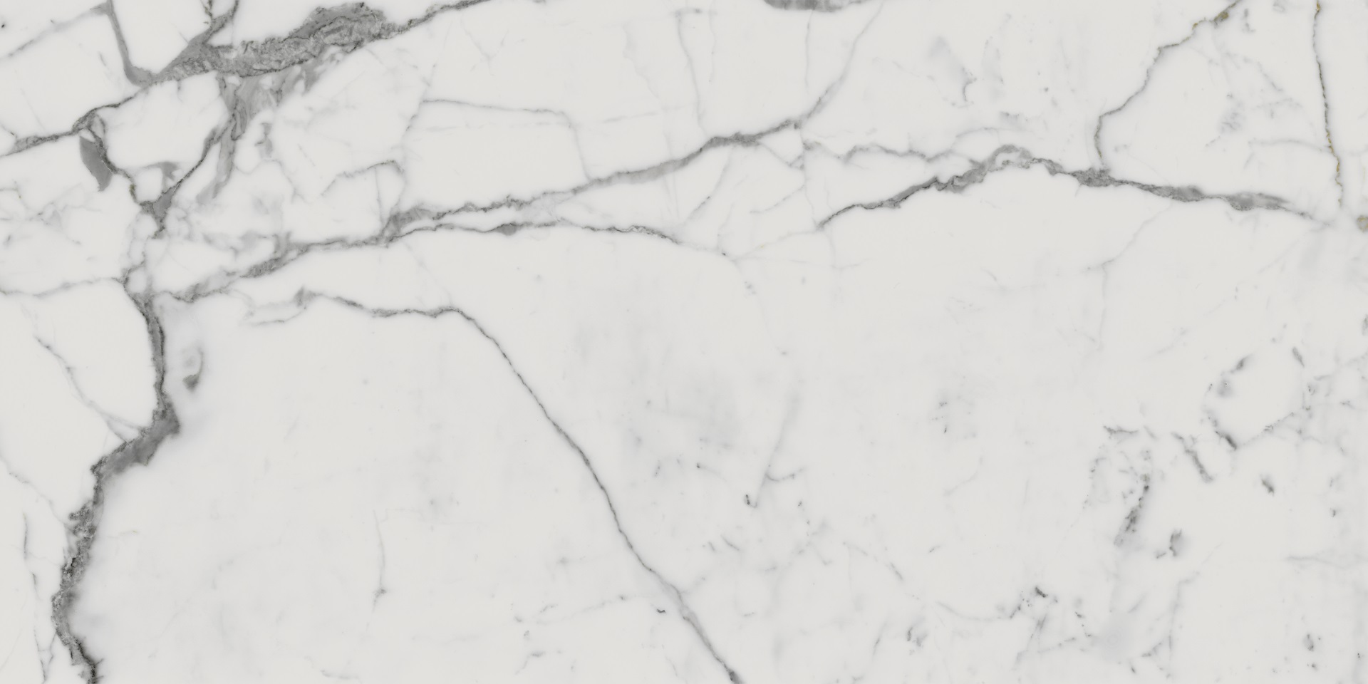 610010001682 На пол Charme Evo Floor Project Статуарио 80x160 Натуральный и Реттифицированный - фото 4