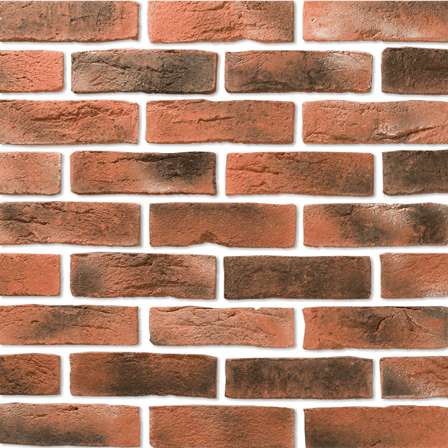 На стену Дрезден 394