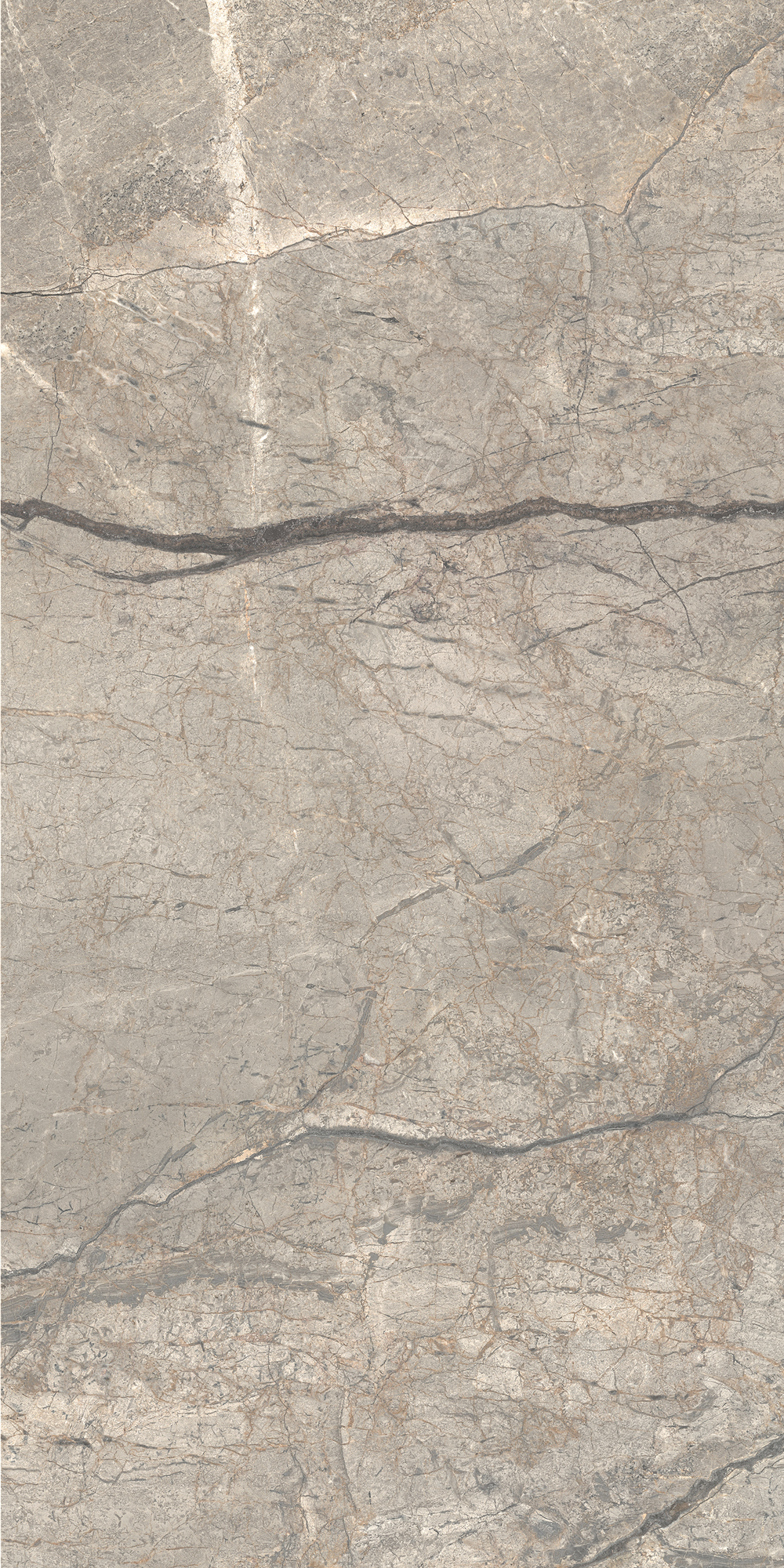 AGB6 На пол Anima Futura Silver Luc 60x120 - фото 2