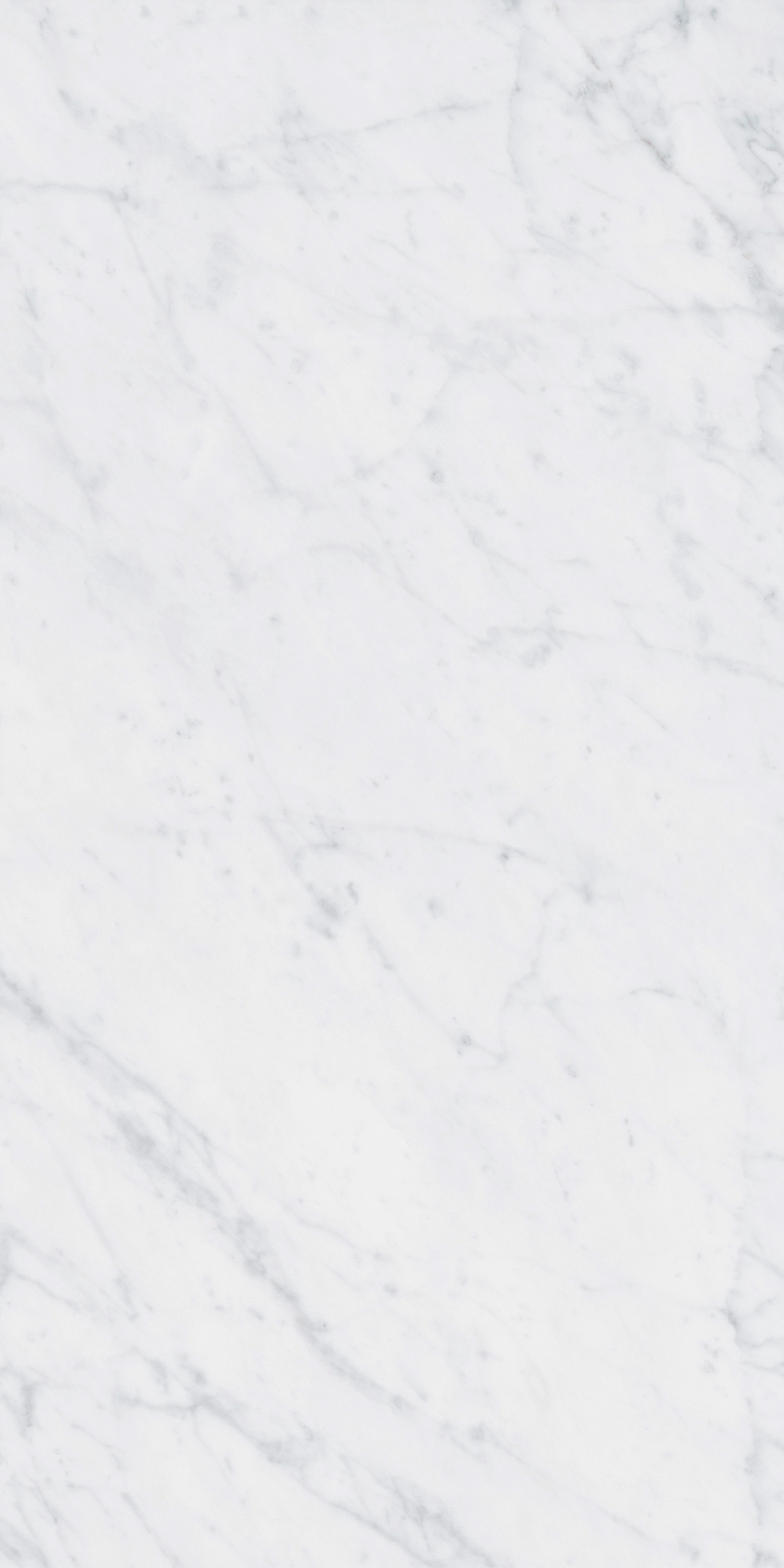 4101065 На пол Italic Carrara 60x120 - фото 5