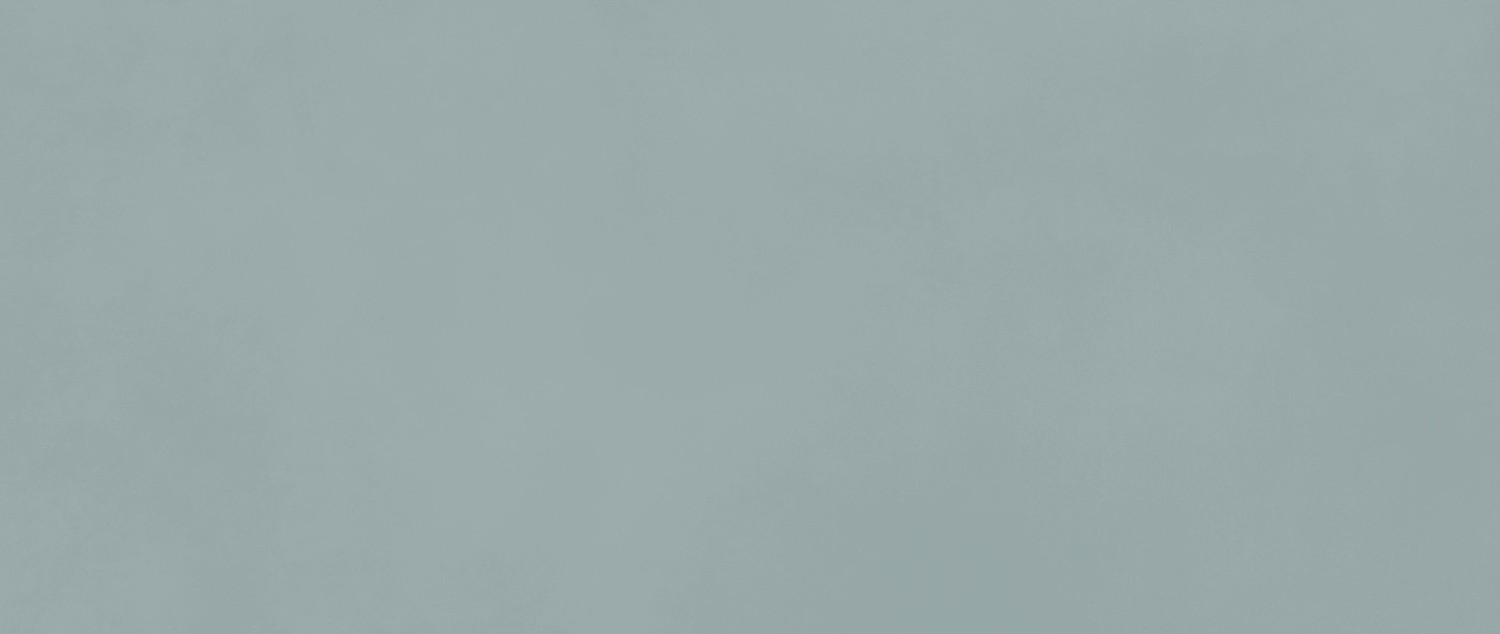 AKM8 На стену Boost Color Iris 50x120 - фото 3