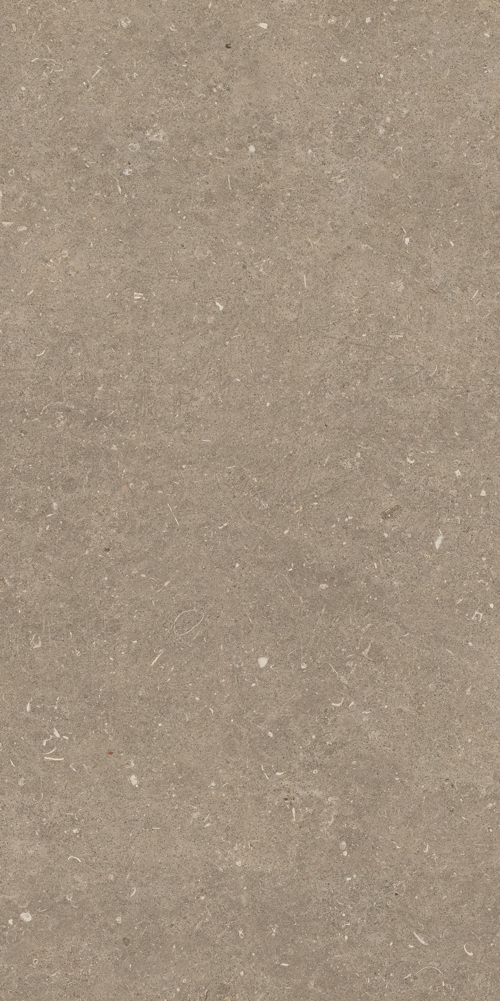 785482 На пол Rinascenza Arena Pietra Matte 60x120 - фото 4