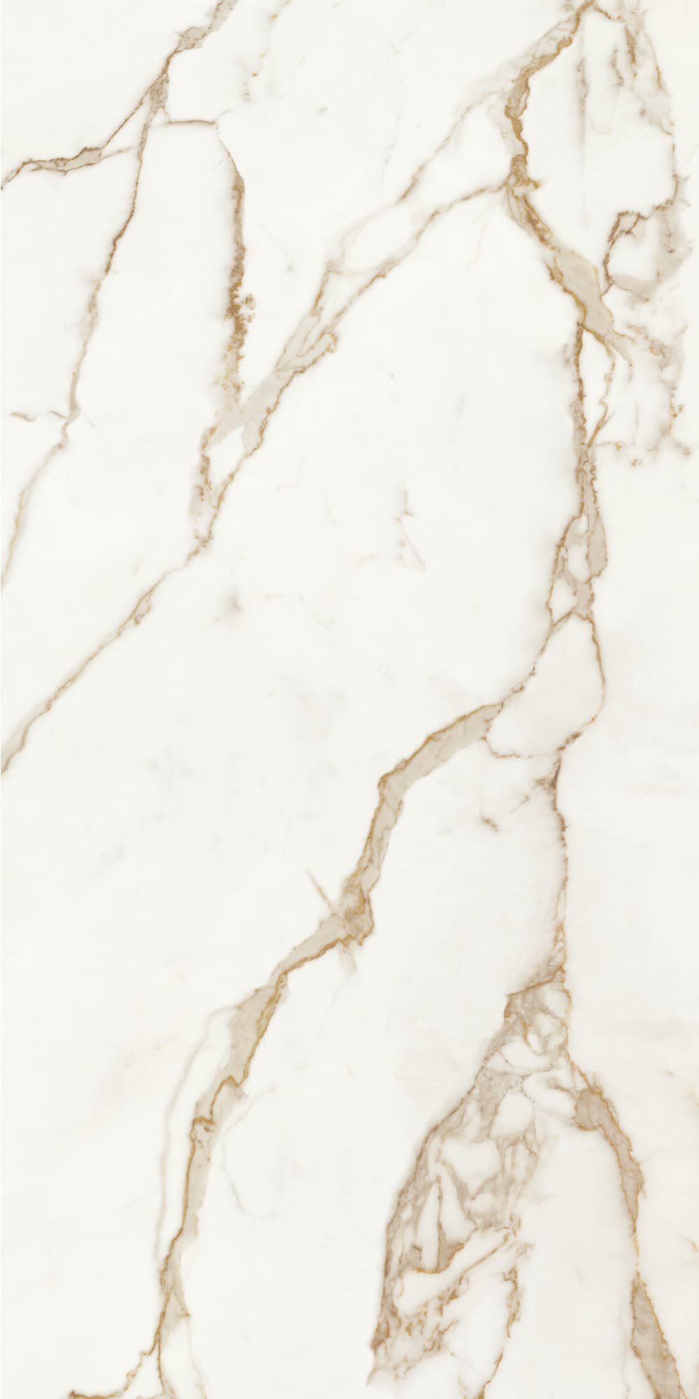 163005 На пол Calacatta Oro Lap Ret 6mm 160x320