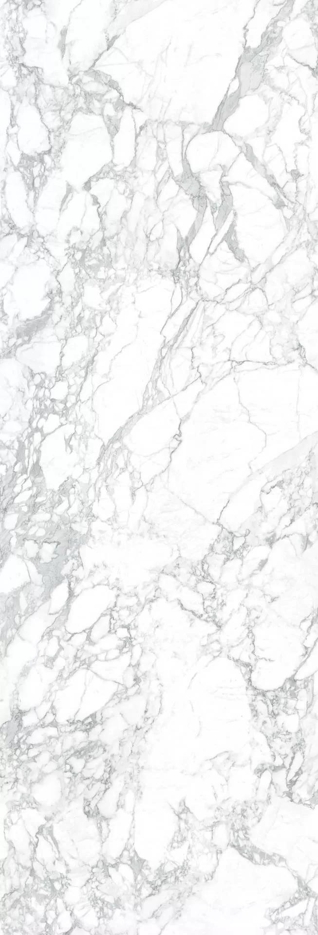 LAMFF00566_IT На пол I Naturali Marmi Arabescato Lucidato 5 1000x3000