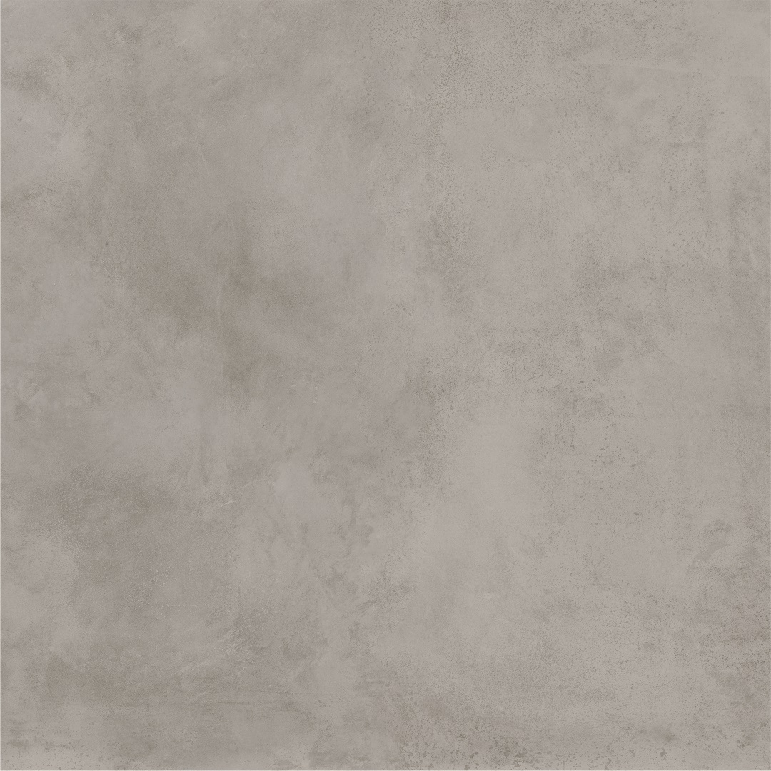 600010002378 На пол Millennium Iron Ret 120x120