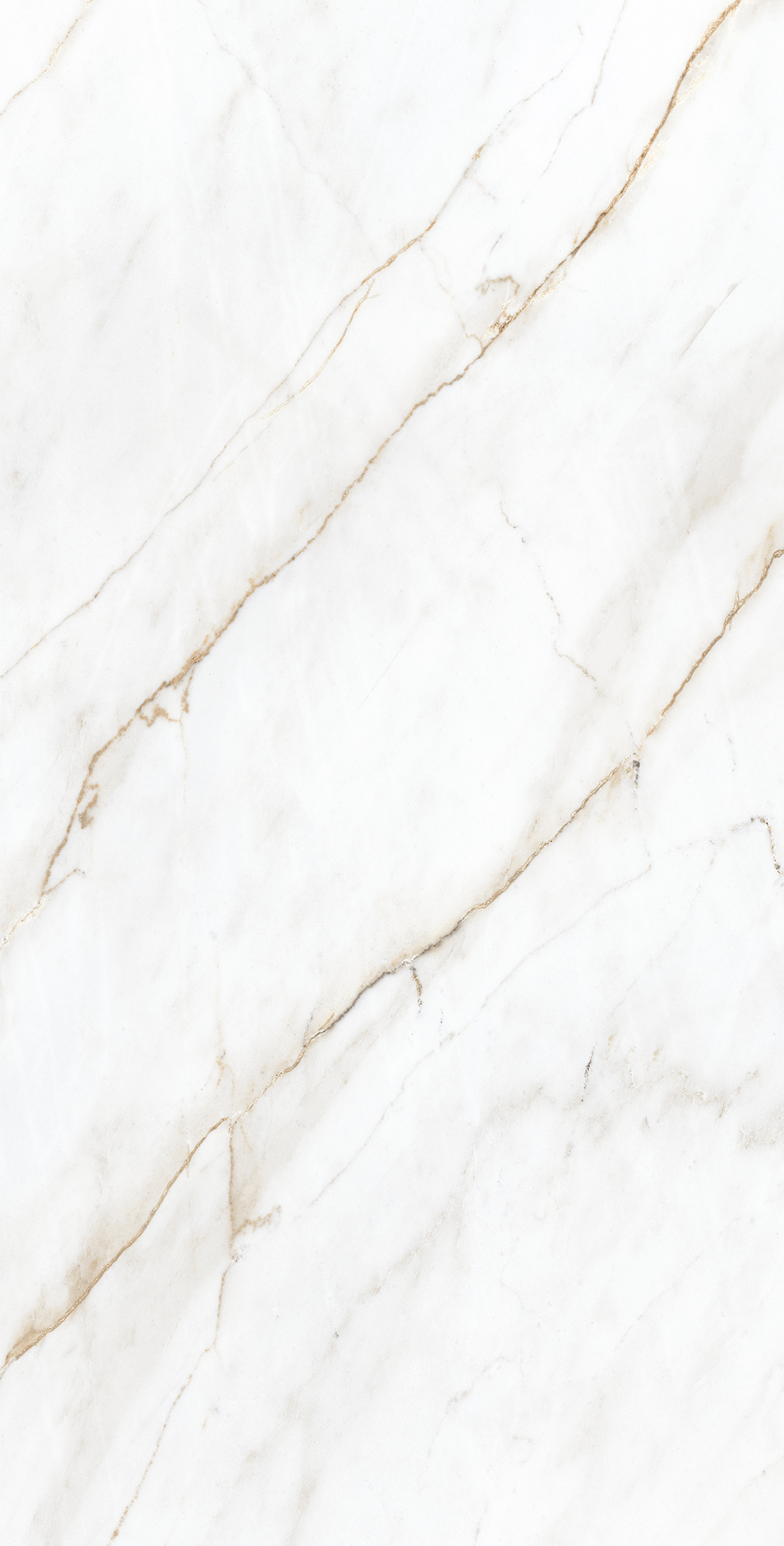 CP4004-A На пол Selva Gold Carving Pro 60x120 - фото 5