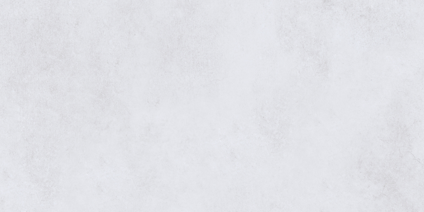 SI006012N На пол Silent Grey 60х120