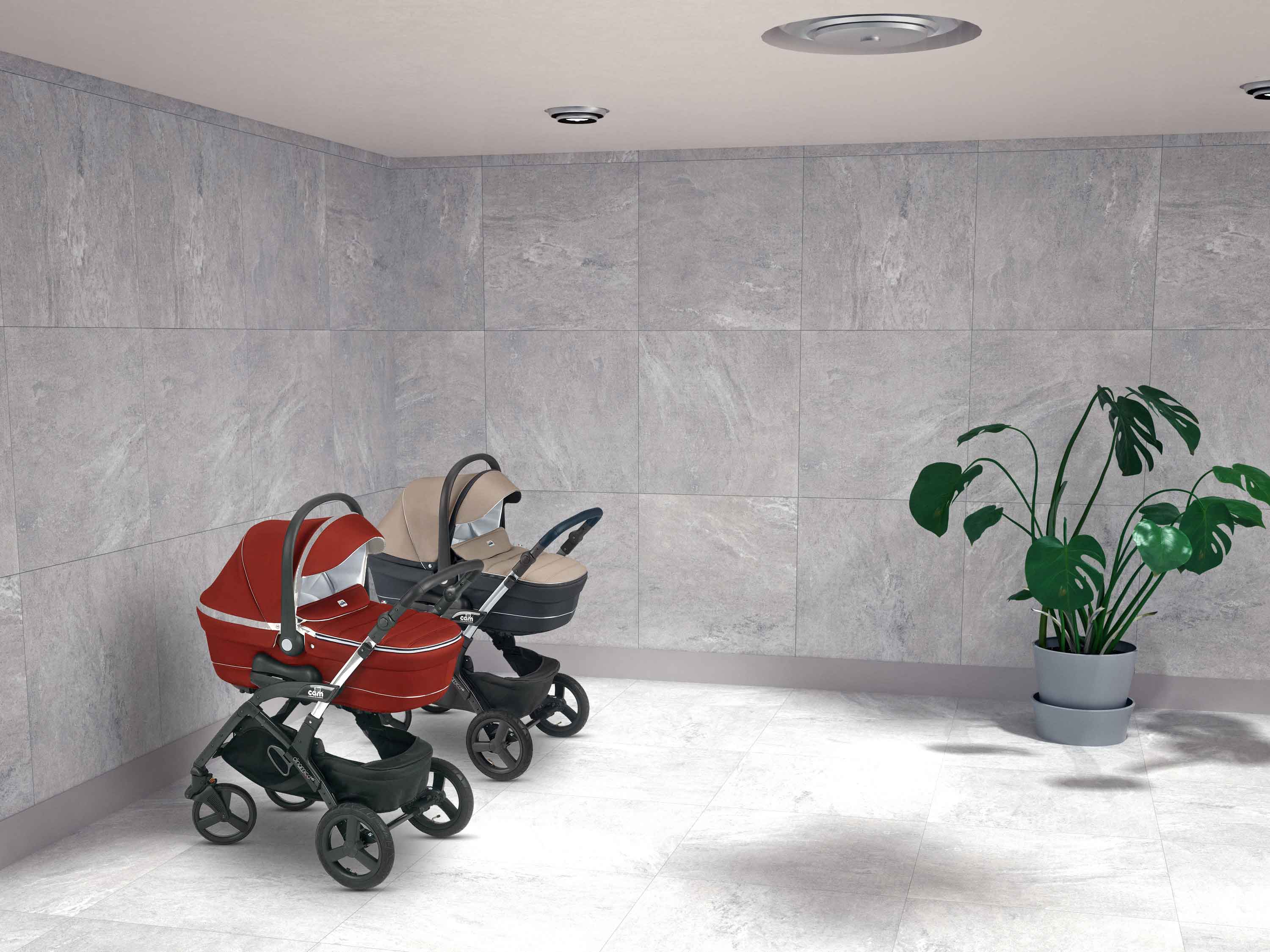 Гранитея Конжак - фото 8