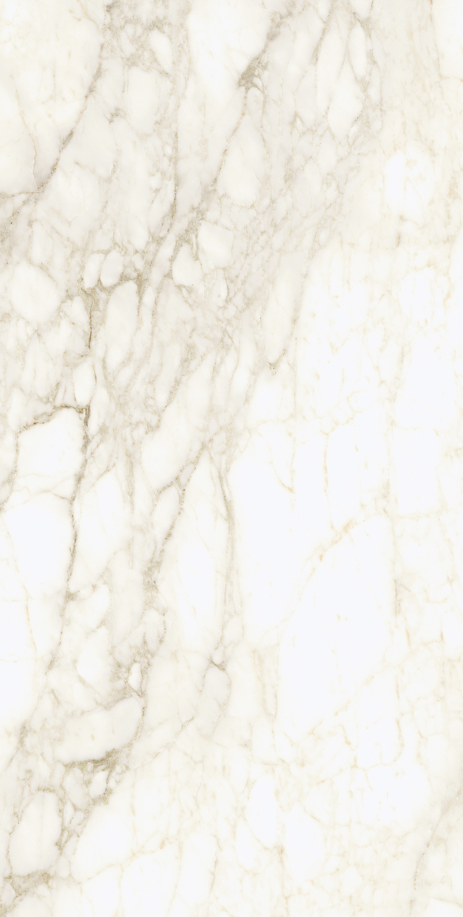 610010002745 На пол Michelangelo Ворм 60x120 - фото 4