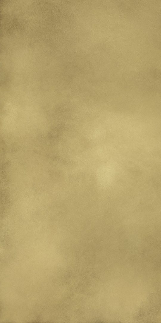 610015000645 На пол Continuum Brass Gold Lap 80x160 - фото 2