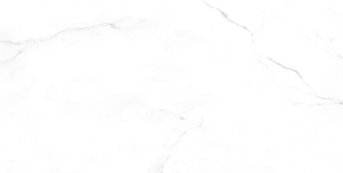 ENMAR1005MT60120 Напольный Marble Carrara Bianco Matt - фото 3