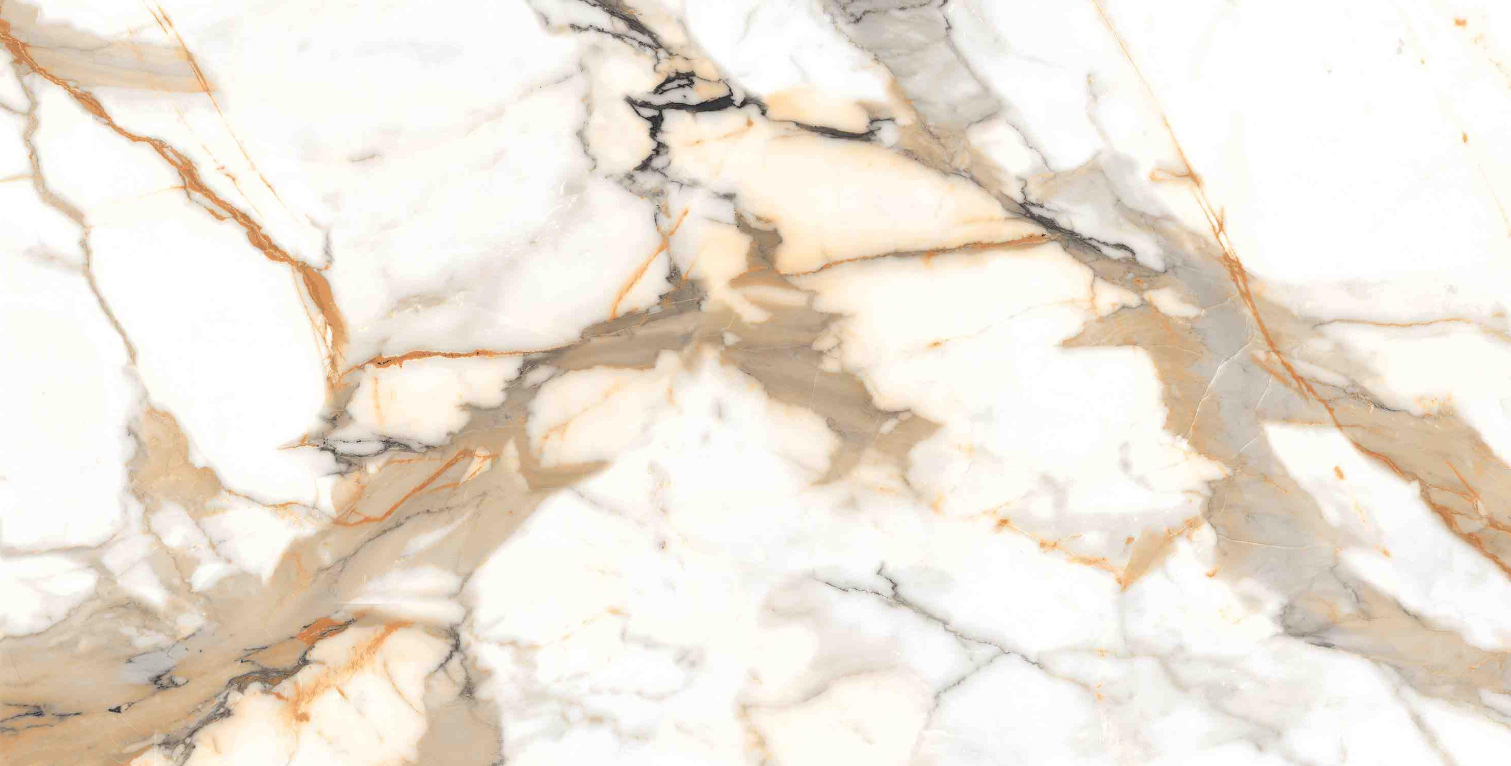 ENMAR7003MT60120 На пол Marble Calacatta Oro Matt 60x120 - фото 10