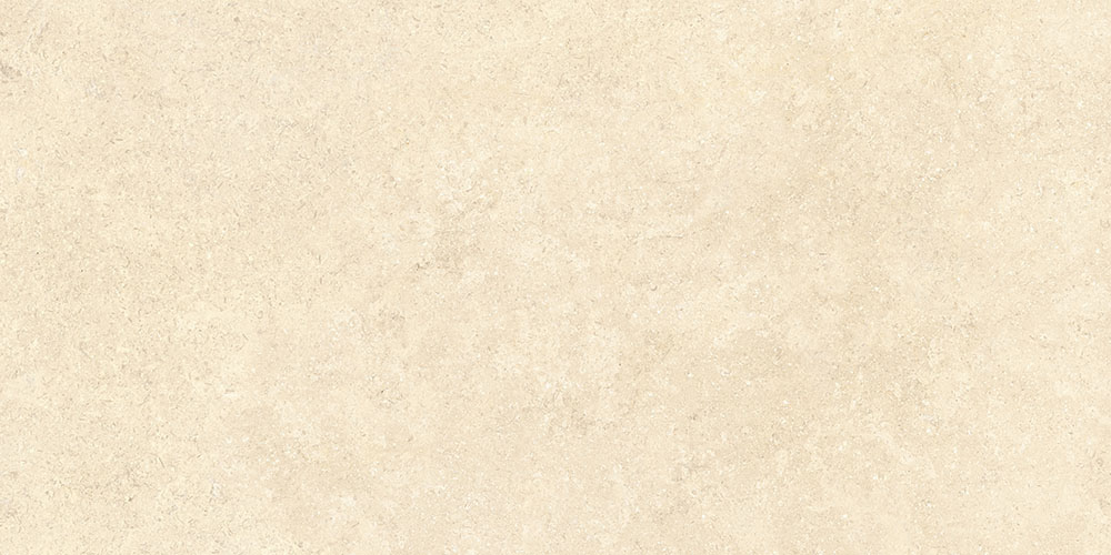 K948598R На пол SandStone Песочный Матовый R10A Ректификат 9мм 60х120 - фото 2