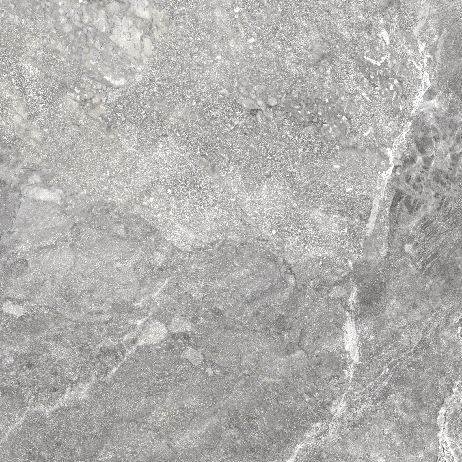 D60260M На пол Wild Dark матовый 600x600x9.5 - фото 7