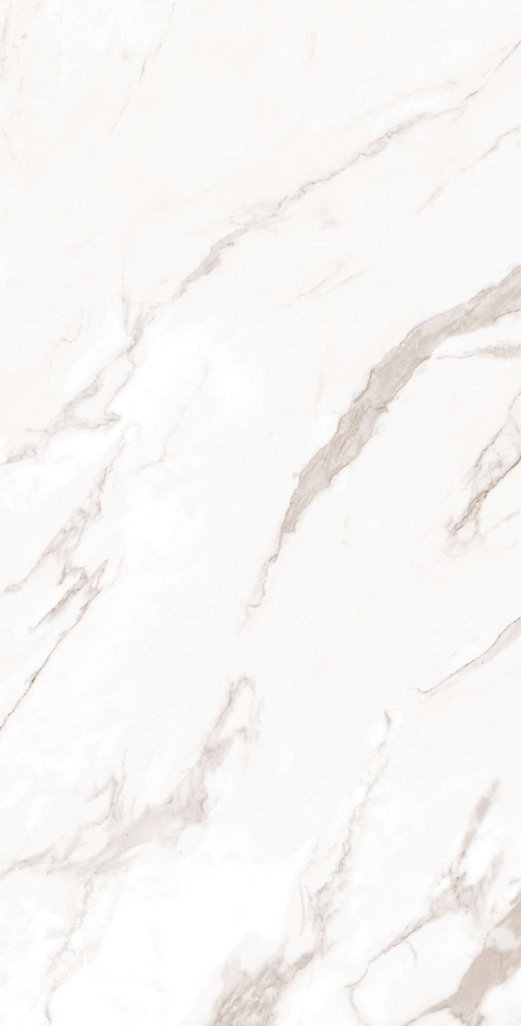 FP1019-A На пол Calacatta Bianco Full Polished 60x120 - фото 2