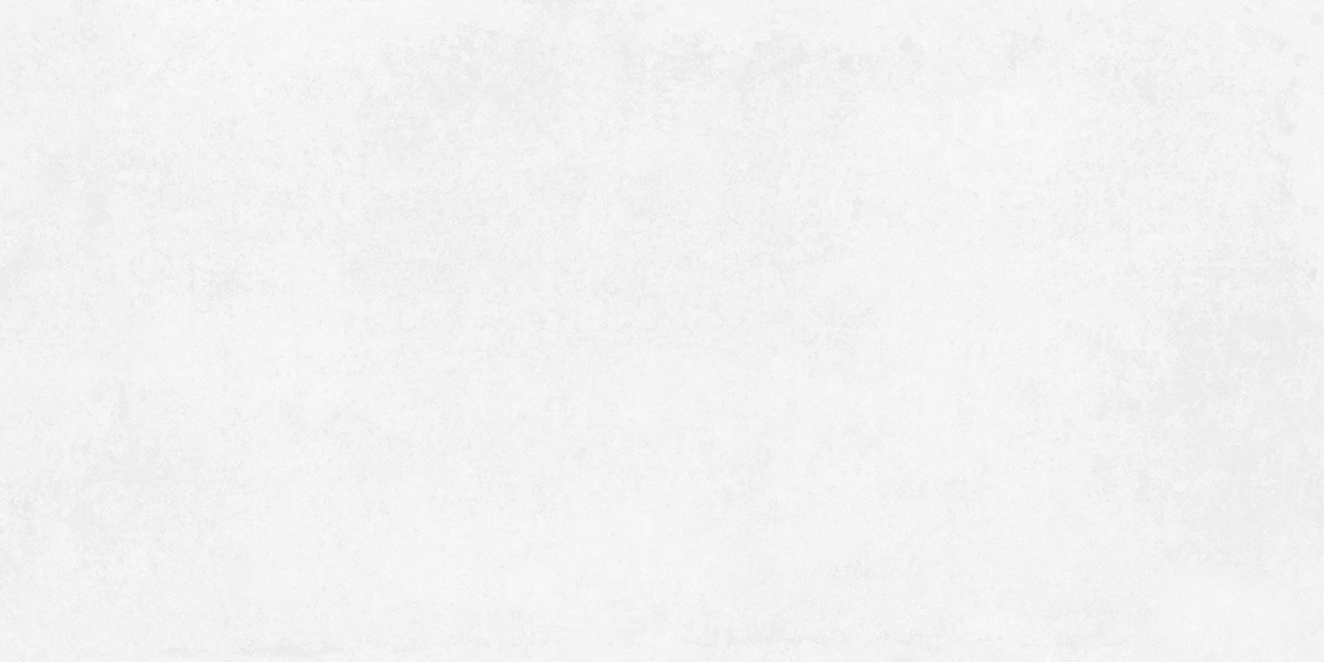 На пол Betonica Blanco PRO Светло-серый матовый R11Soft 60х120 - фото 4