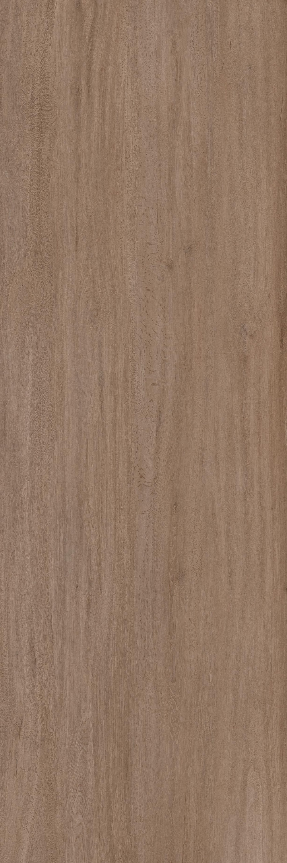 LAMF011054 На стену Legno Venezia Rovere 3+ 1000x3000