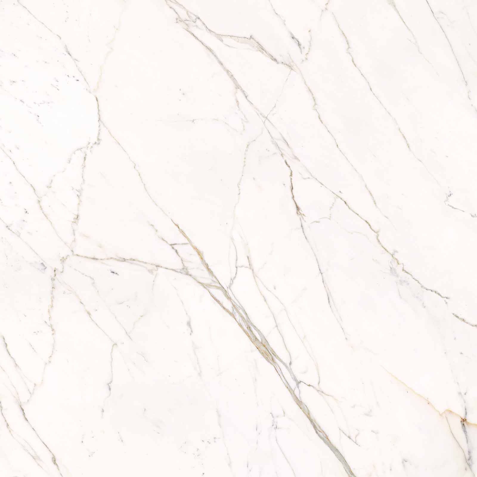 59A2 На пол Elements Lux Calacatta Statuarietto Lappato RT 120x120 - фото 10