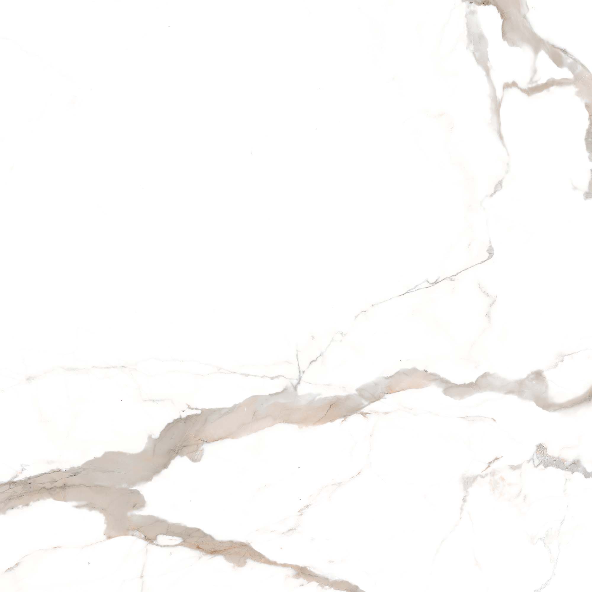 CA008080N На пол Calacatta Brown 80х80